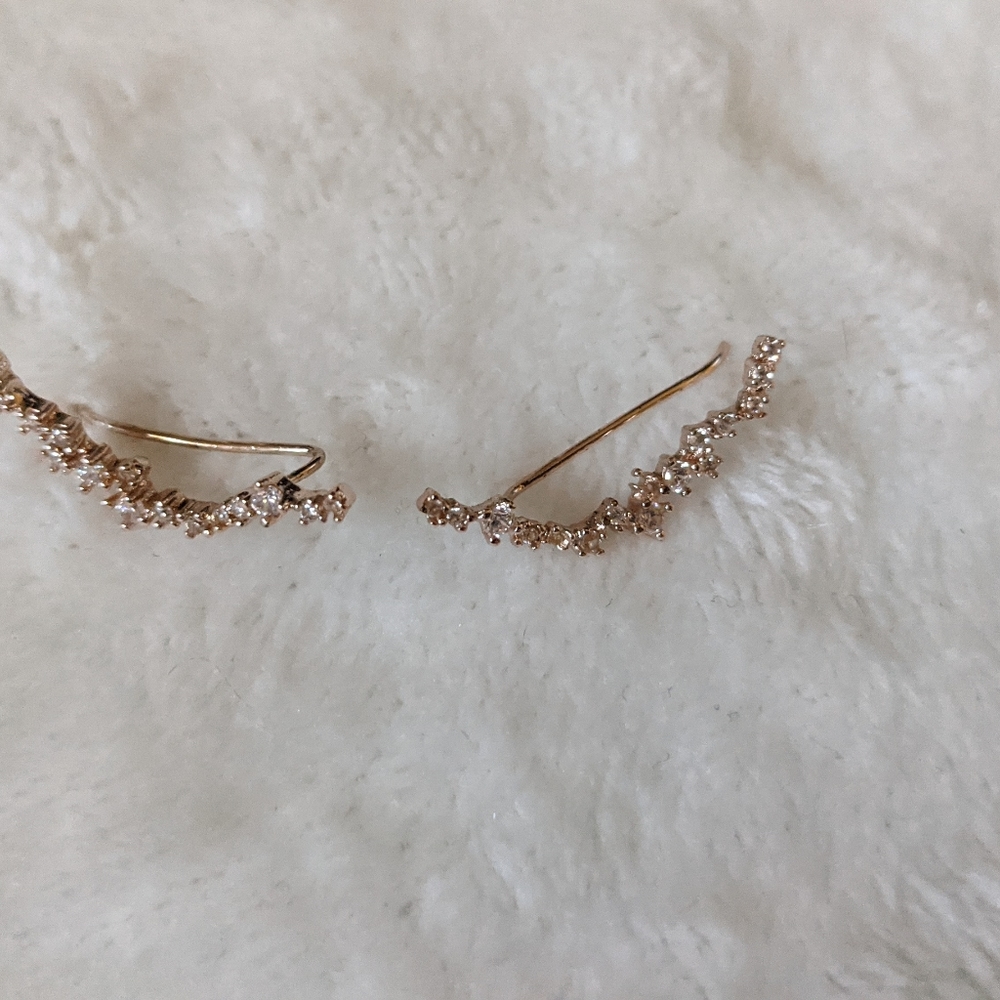 Earrings - Picture 3 of 5